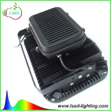 200W New product LED floodlight Projector Lamp for playground